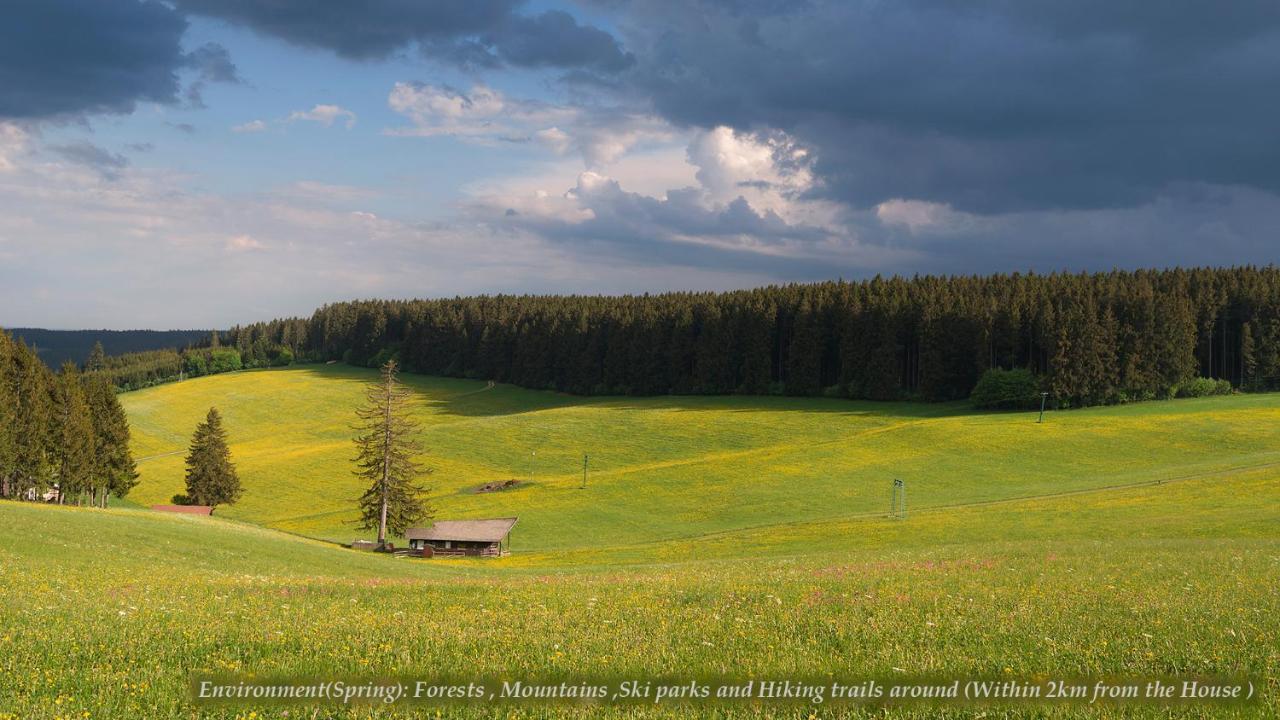 Entire House In Schwarzwald With Mountain View, Private Sauna, Gym, Garden And Terraces Unterkirnach Ngoại thất bức ảnh