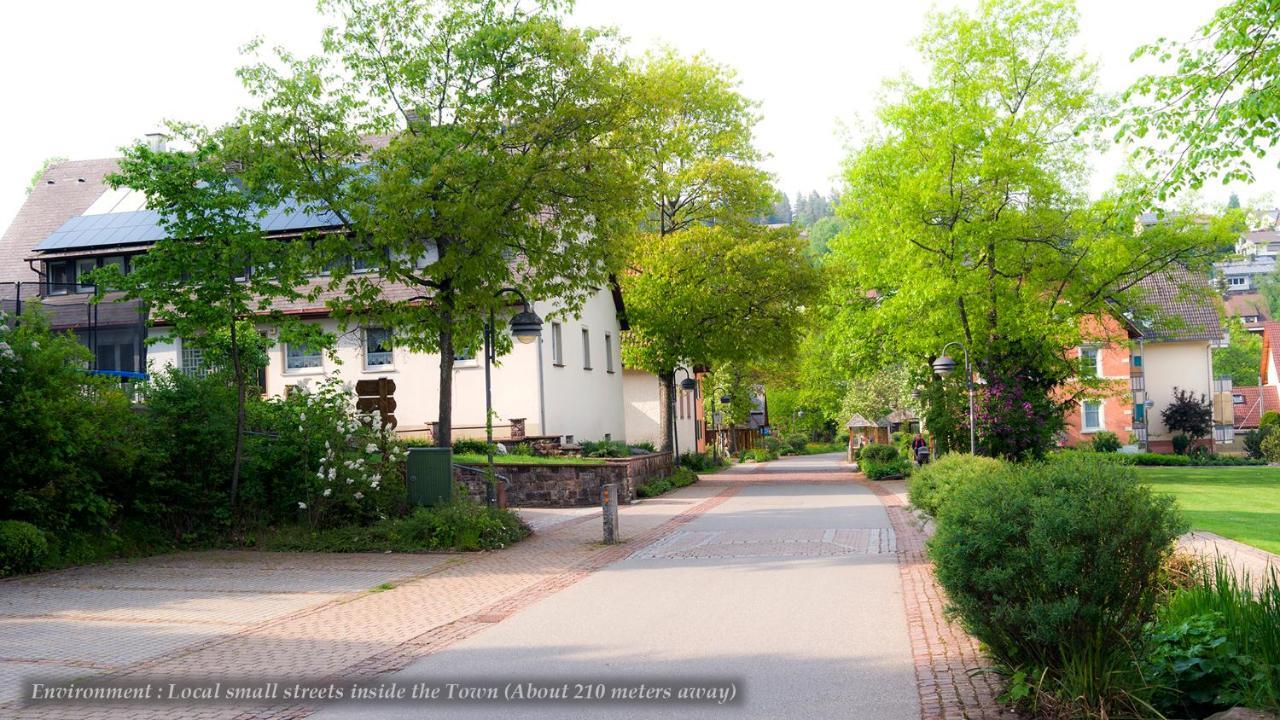 Entire House In Schwarzwald With Mountain View, Private Sauna, Gym, Garden And Terraces Unterkirnach Ngoại thất bức ảnh