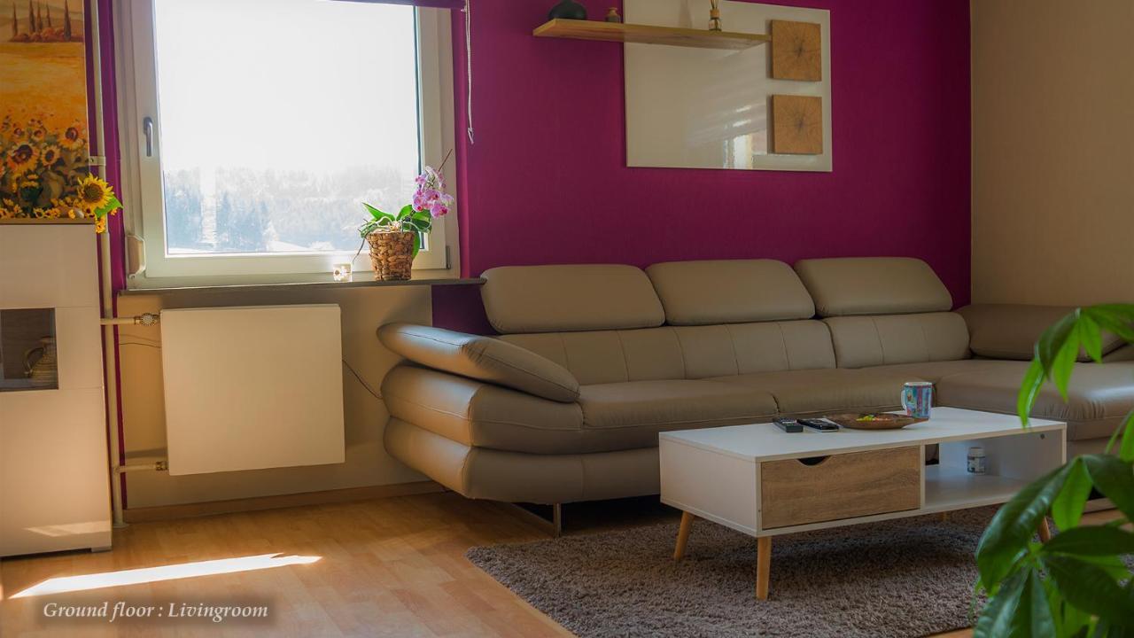 Entire House In Schwarzwald With Mountain View, Private Sauna, Gym, Garden And Terraces Unterkirnach Ngoại thất bức ảnh