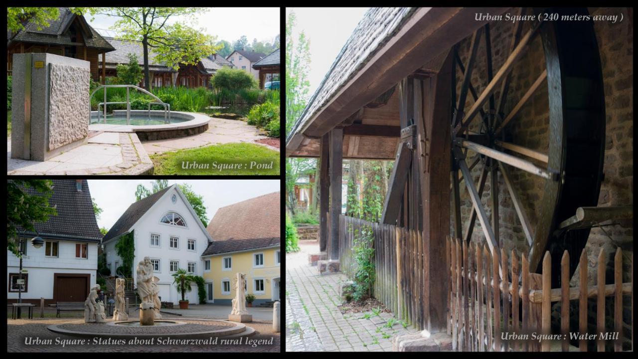 Entire House In Schwarzwald With Mountain View, Private Sauna, Gym, Garden And Terraces Unterkirnach Ngoại thất bức ảnh