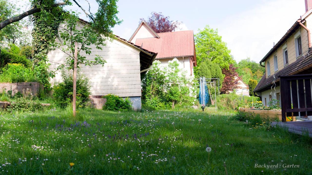 Entire House In Schwarzwald With Mountain View, Private Sauna, Gym, Garden And Terraces Unterkirnach Ngoại thất bức ảnh