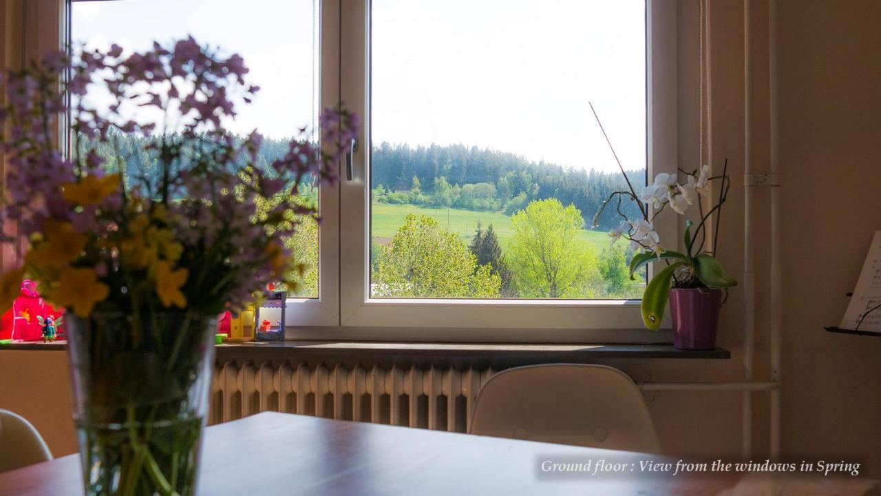 Entire House In Schwarzwald With Mountain View, Private Sauna, Gym, Garden And Terraces Unterkirnach Ngoại thất bức ảnh
